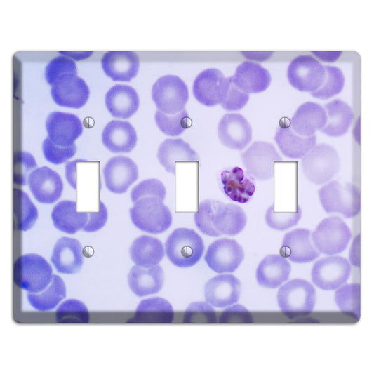 Plasmodium Malariae Schizont 3 Toggle Wallplate