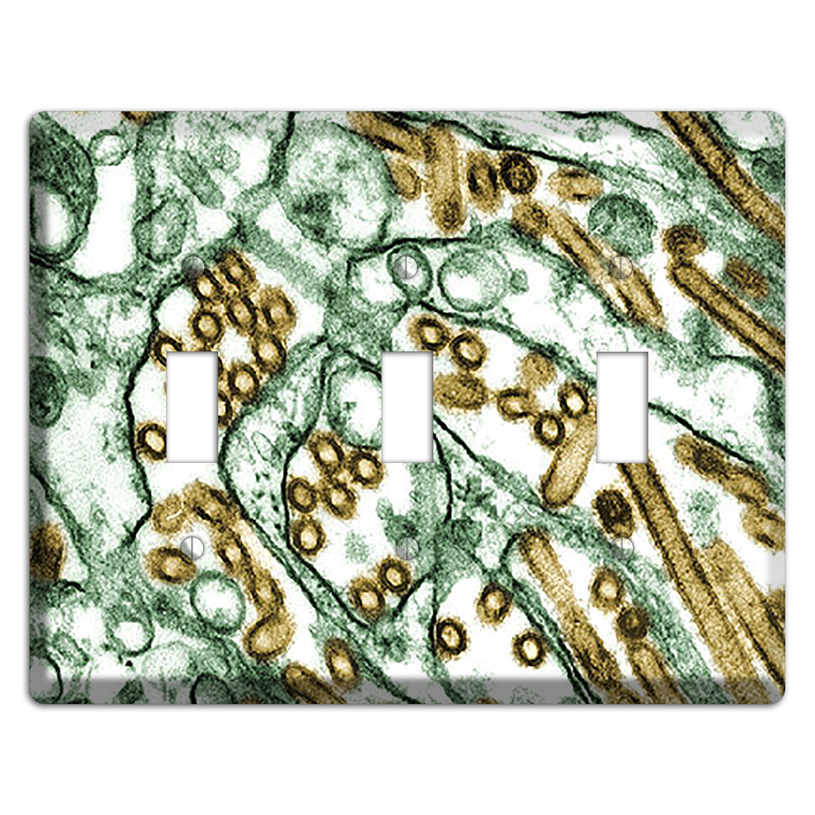 influenza A H5N1 3 Toggle Wallplate