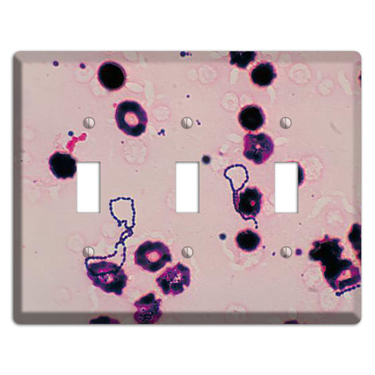 Streptococcus Viridans 3 Toggle Wallplate