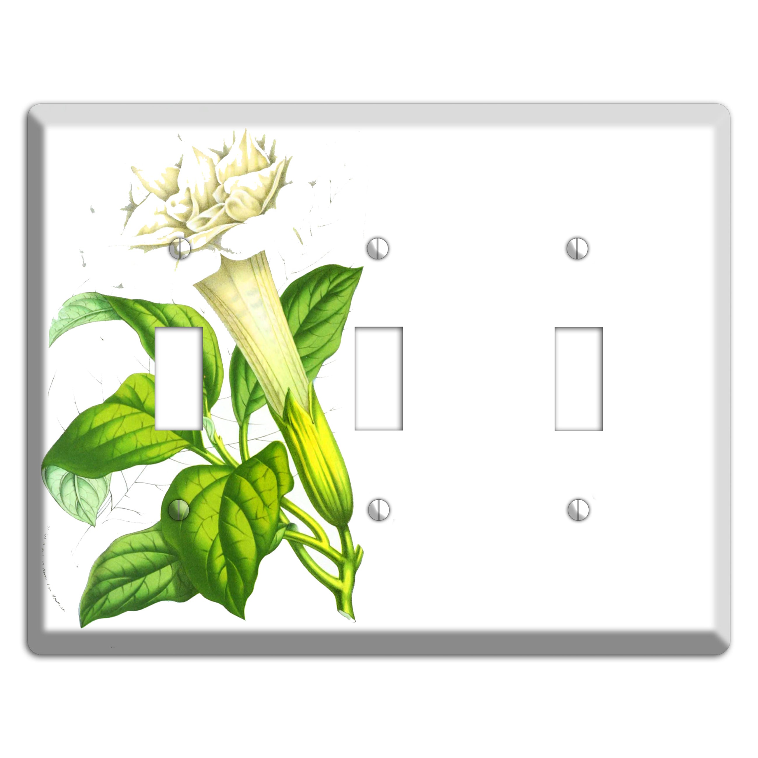 Datura Fastuosa 3 Toggle Wallplate