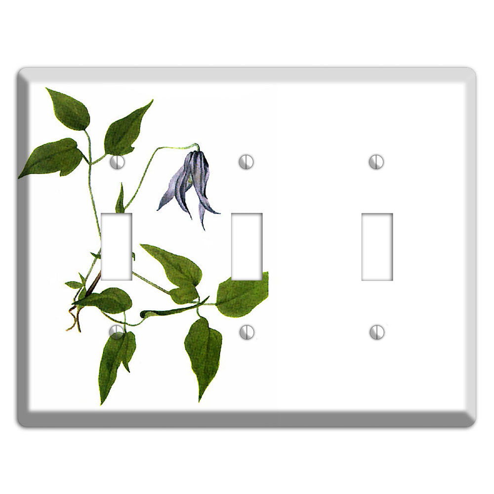 Clematis Columbiana 3 Toggle Wallplate