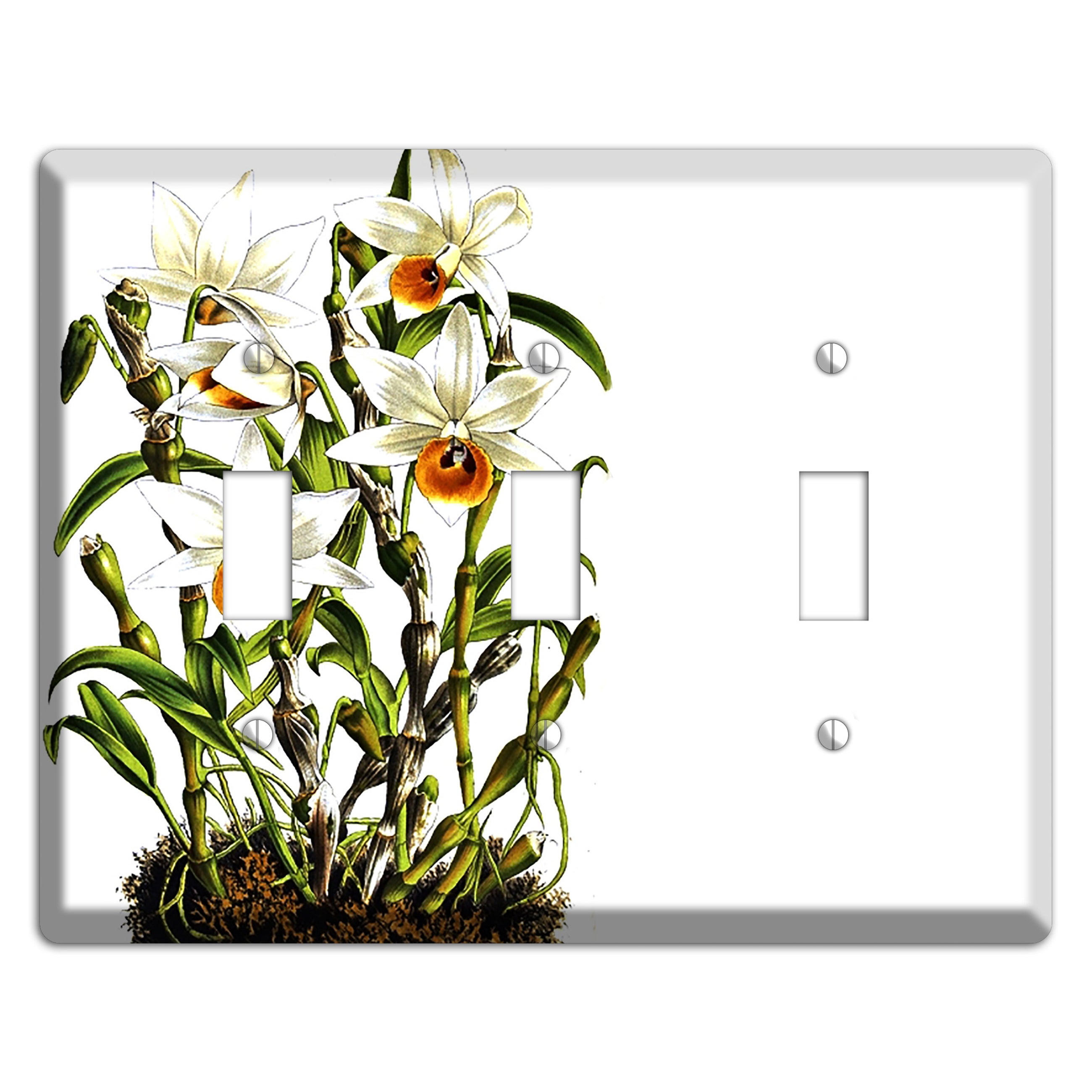 Dendrobium 3 Toggle Wallplate