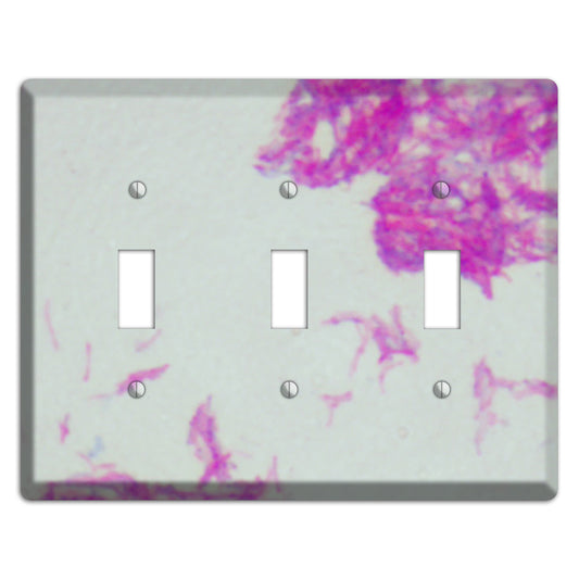 Mycobacterium Bovis 3 Toggle Wallplate