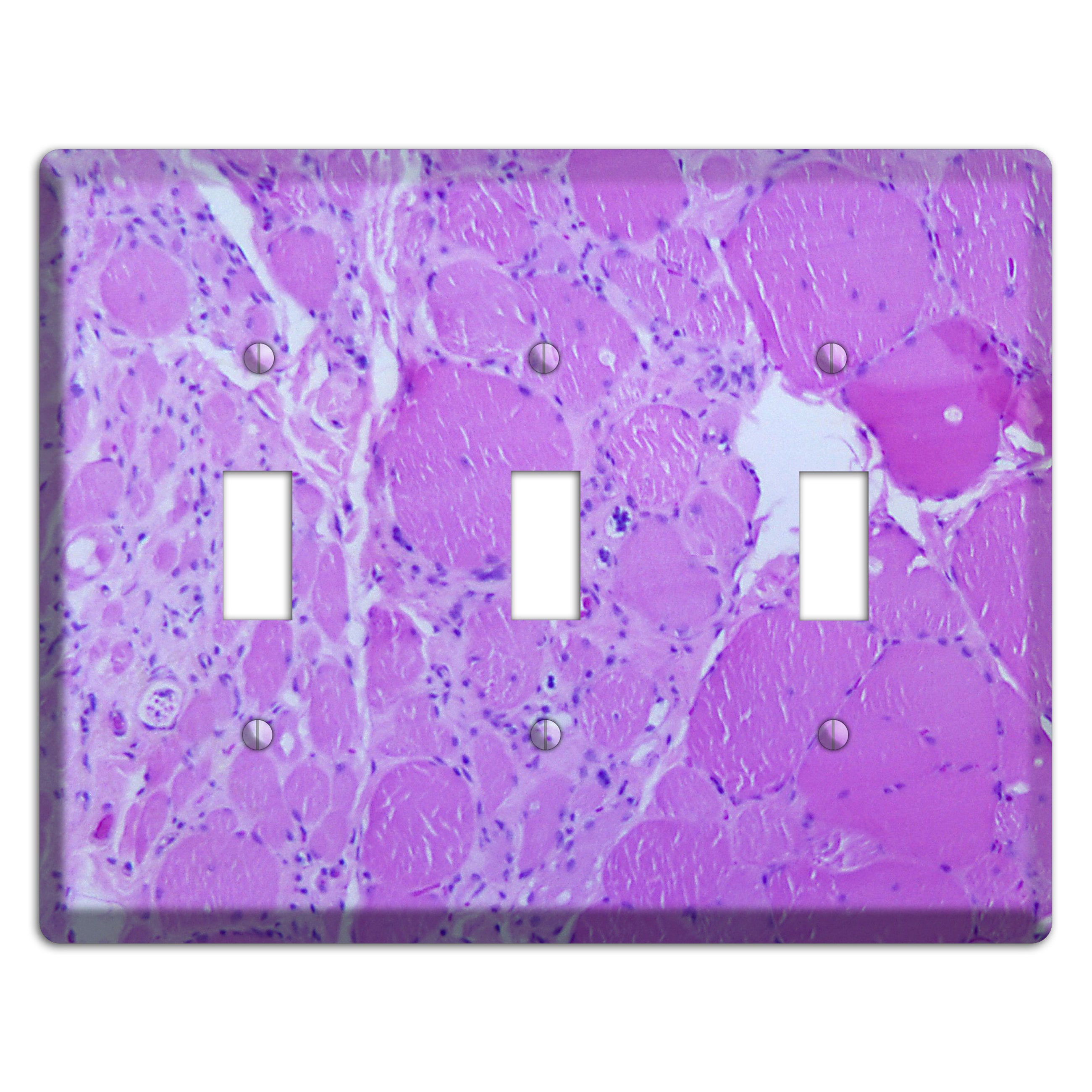 Poliovirus Myotonic Dystrophic 3 Toggle Wallplate