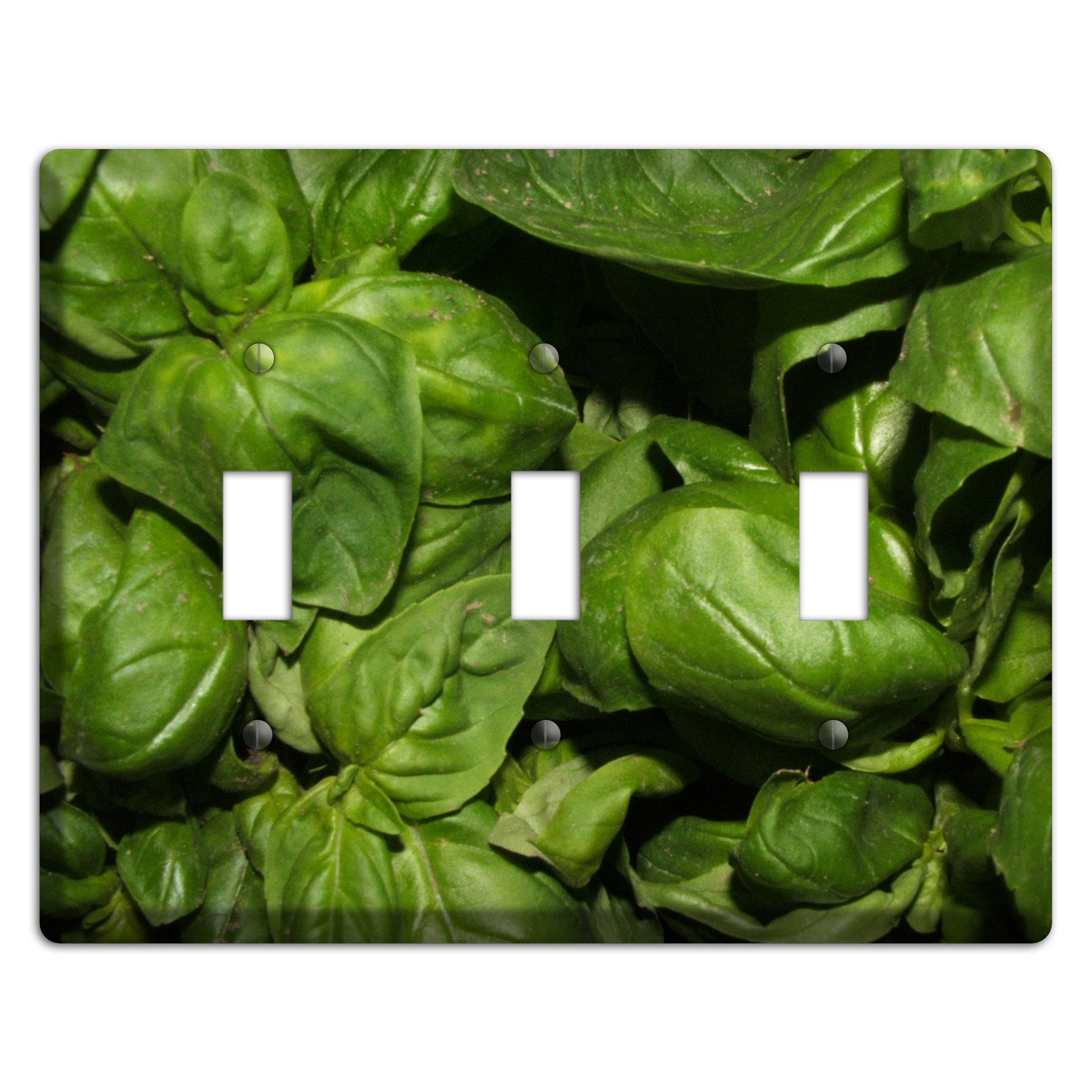 Basil 3 Toggle Wallplate