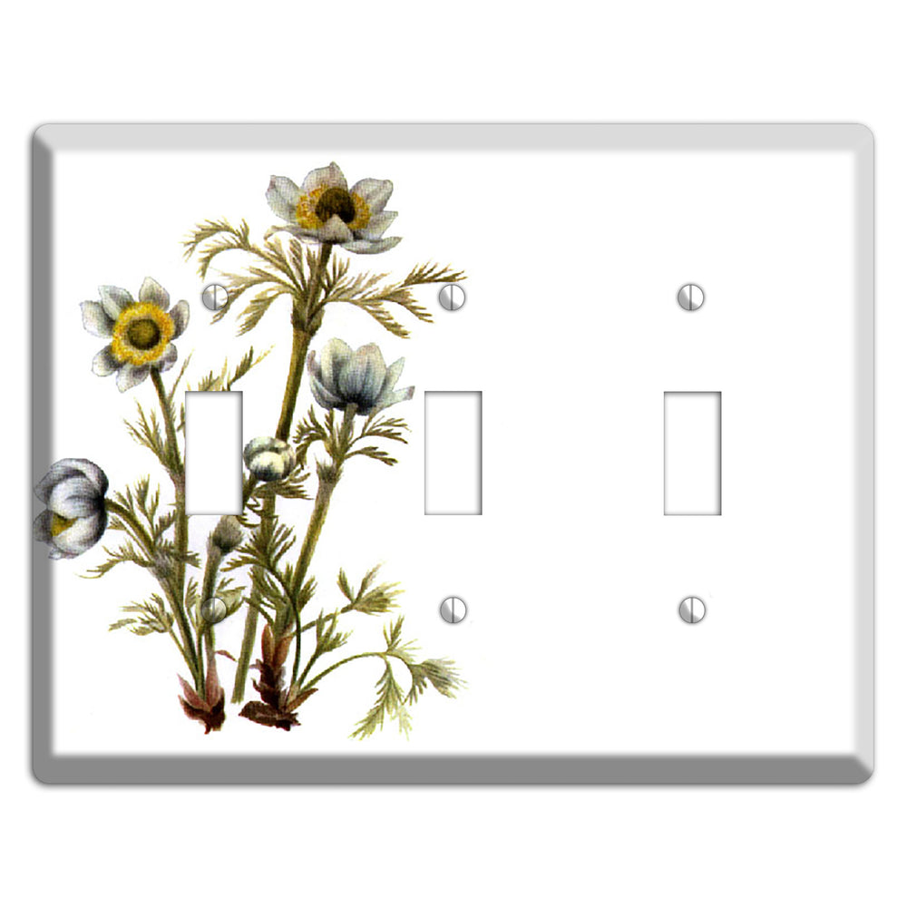 Aenmone Occitentalis 3 Toggle Wallplate