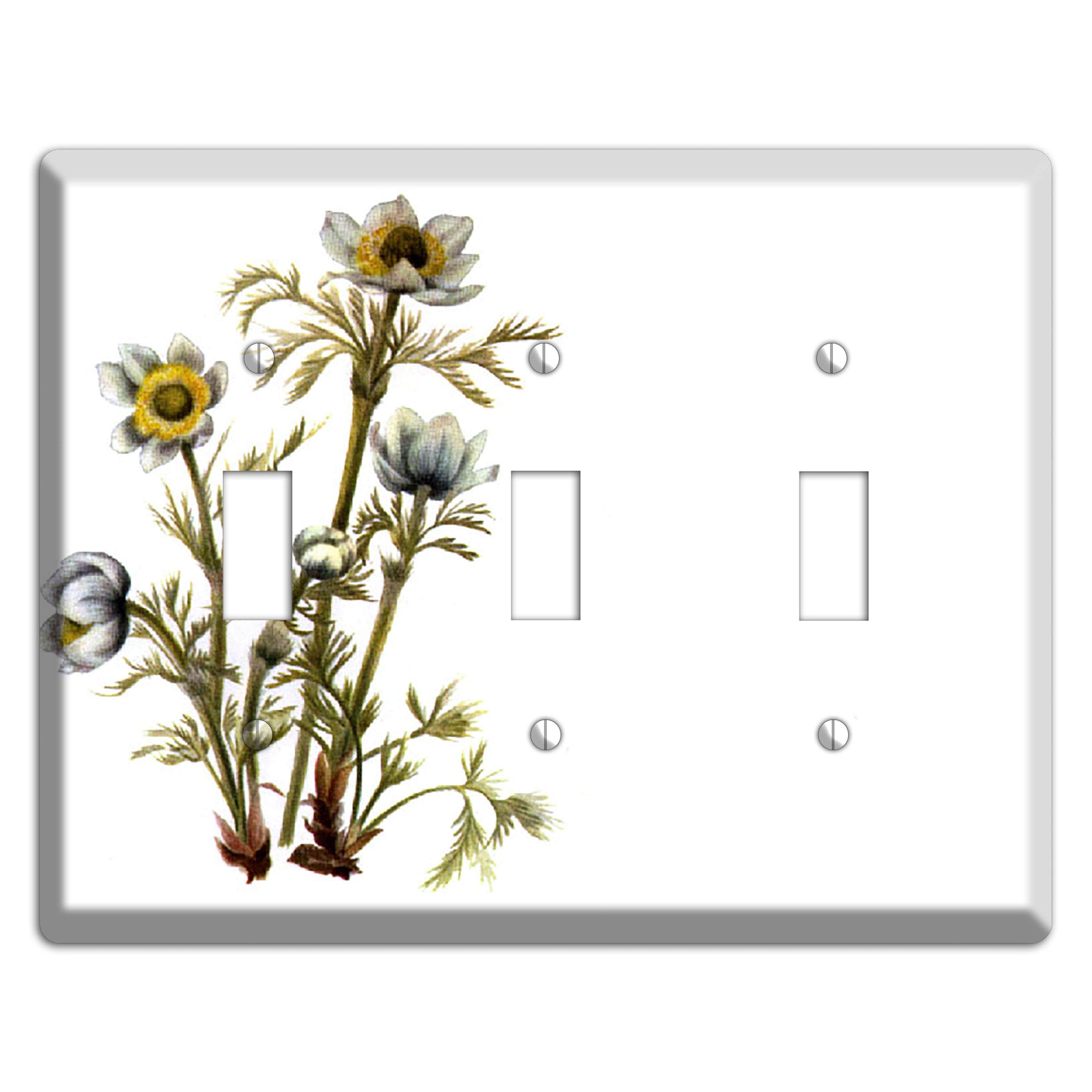 Aenmone Occitentalis 3 Toggle Wallplate