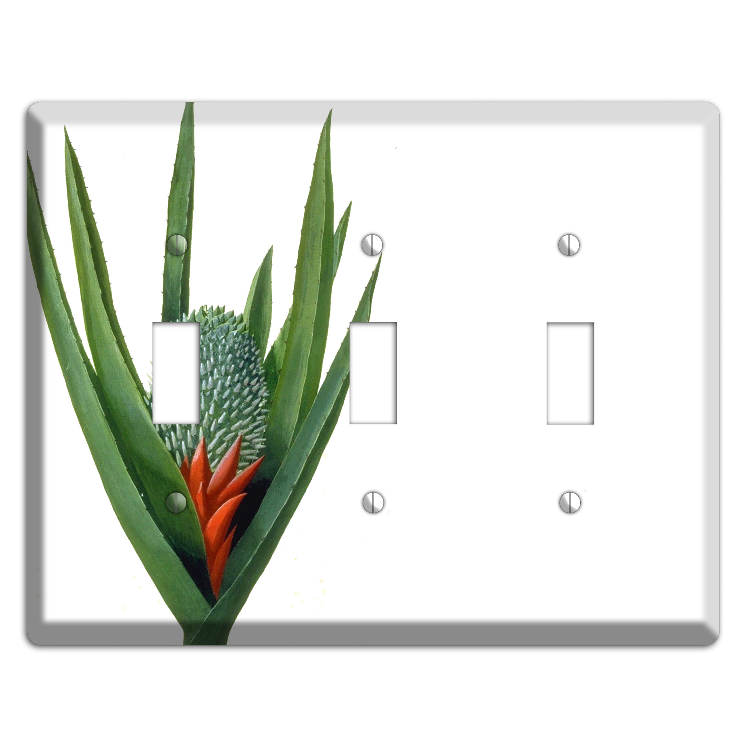 Bromiliad 3 Toggle Wallplate