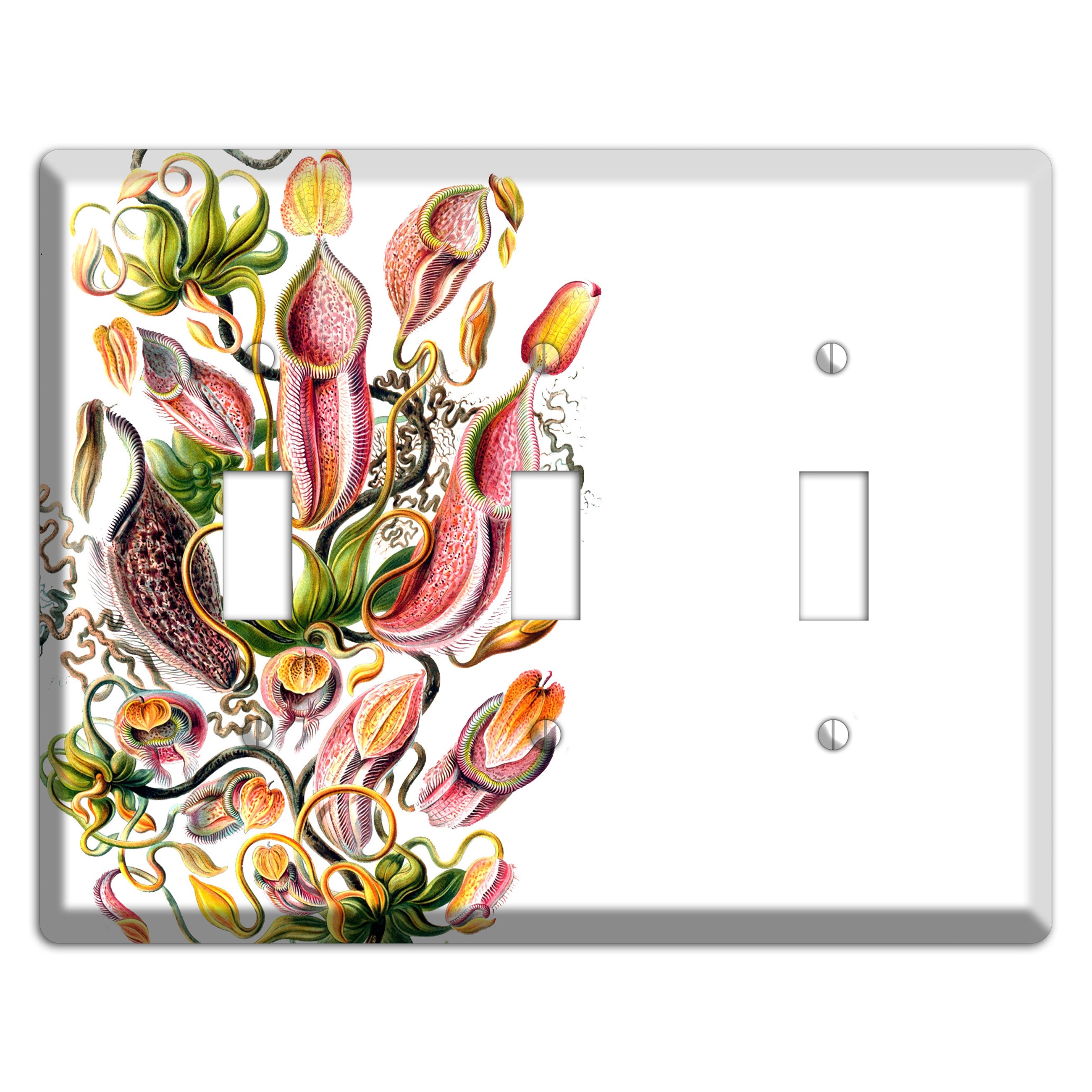 Haechel 3 Toggle Wallplate