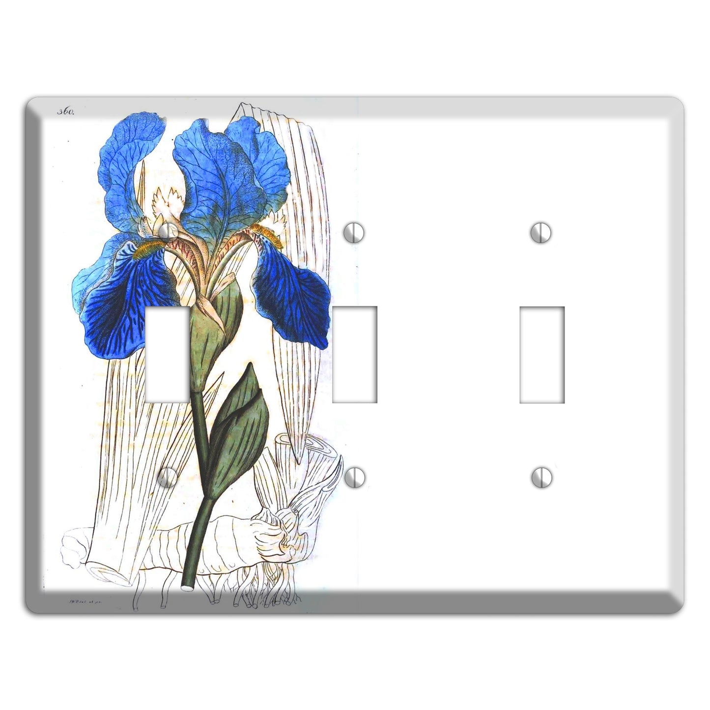 Blue Iris 3 Toggle Wallplate