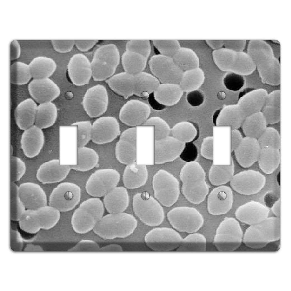Entercoccus 3 Toggle Wallplate