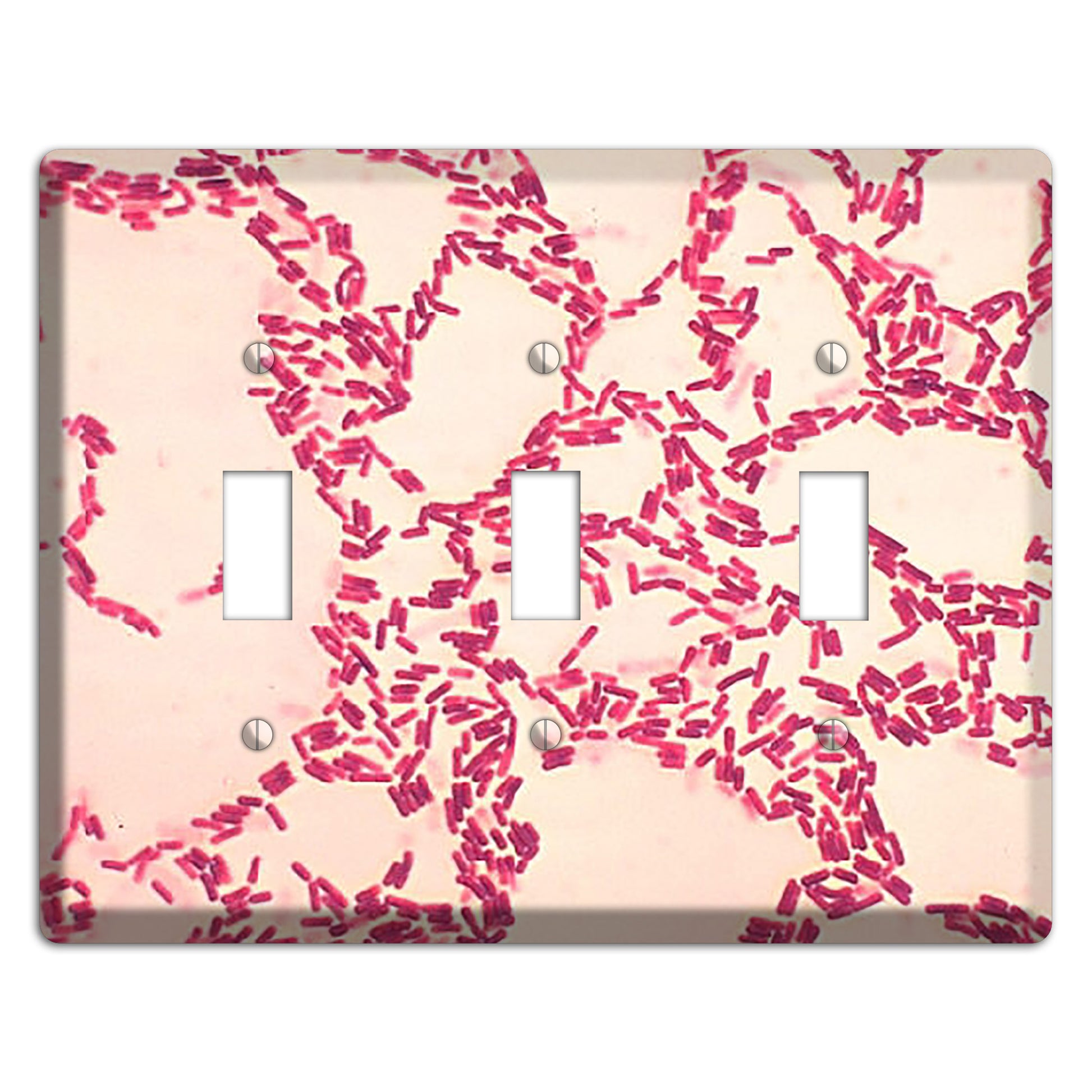 Bacillus Coagulans 3 Toggle Wallplate