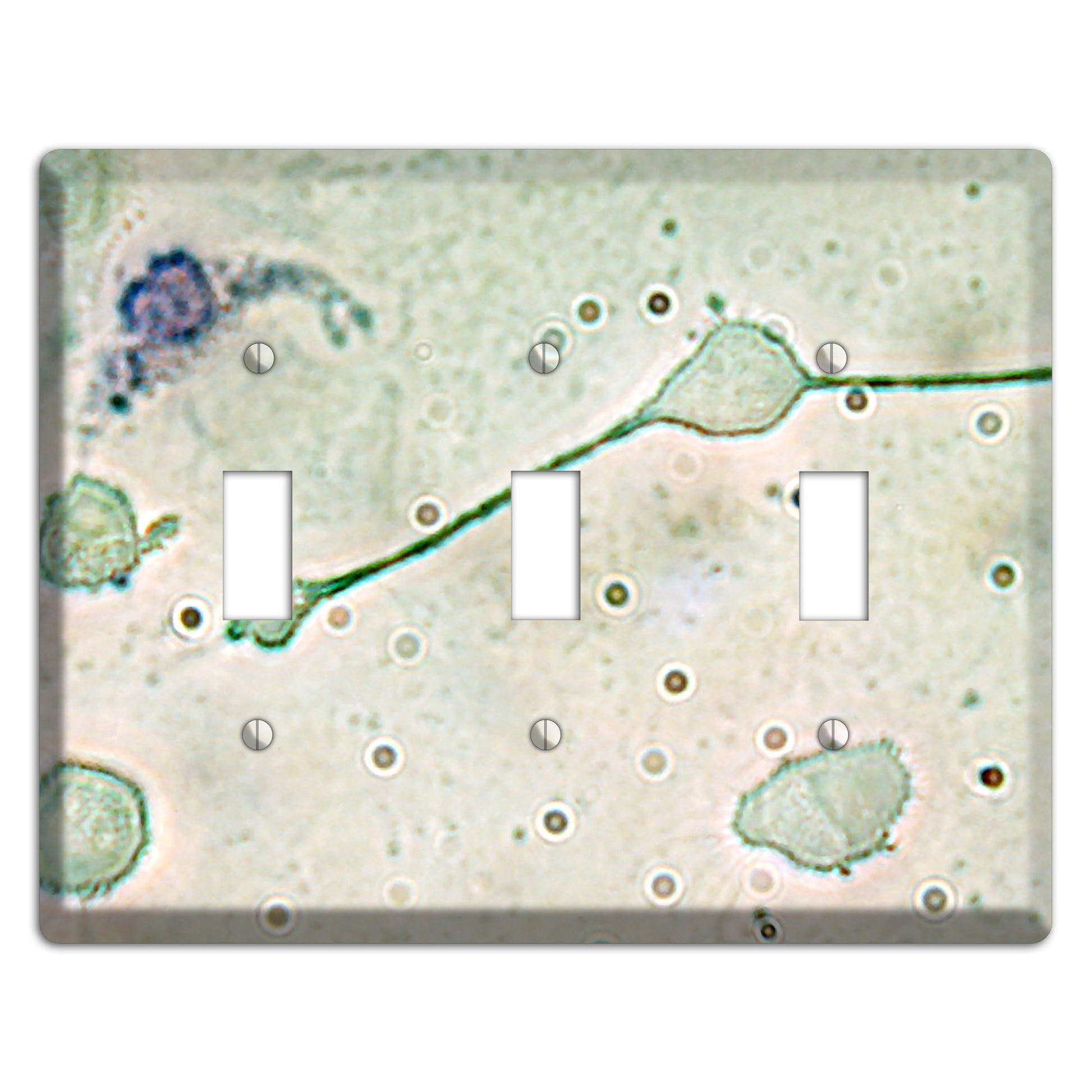Macrophage 3 Toggle Wallplate